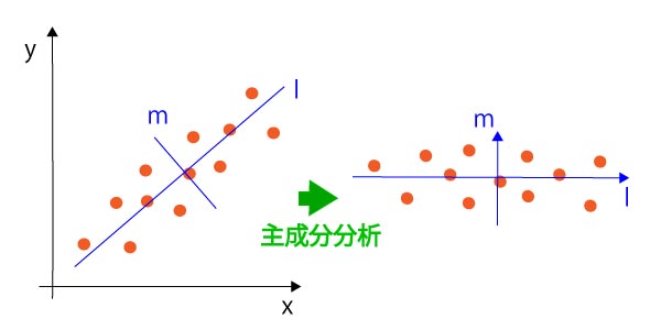 主成分分析のスコアとローディング