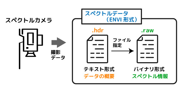 ENVI形式のスペクトルデータ