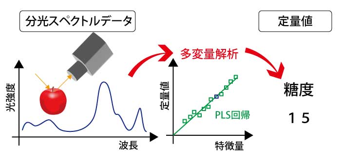 分光スペクトル解析