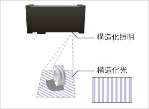 構造化光の照射