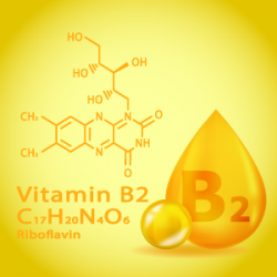 ビタミンB2組成