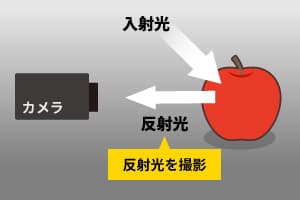 カメラは反射光を撮影