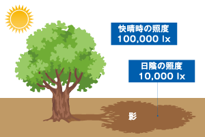 快晴と日陰の照度