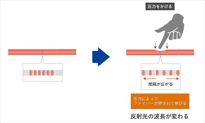 外側からの刺激