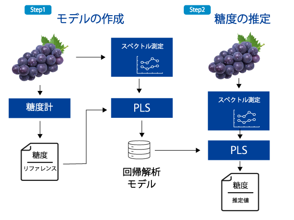 PLS解析のフロー