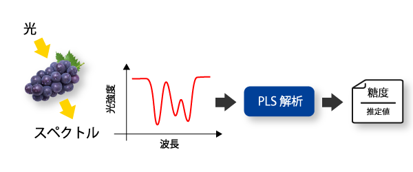 PLS解析とは