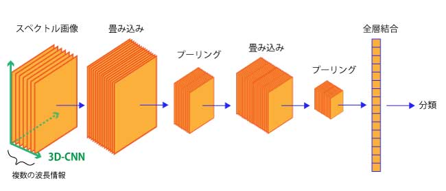 3D-CNNイメージ