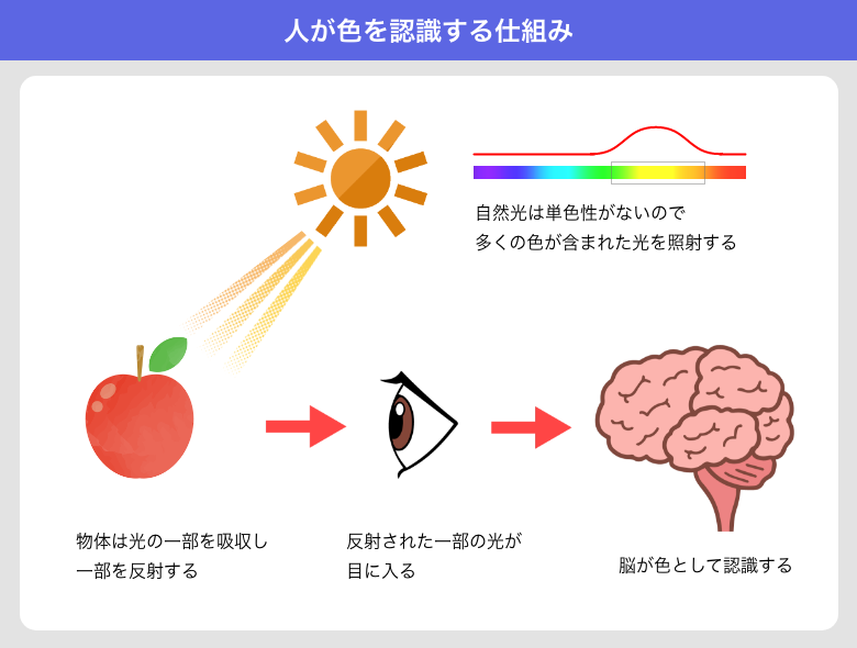 人が色を認識する仕組み